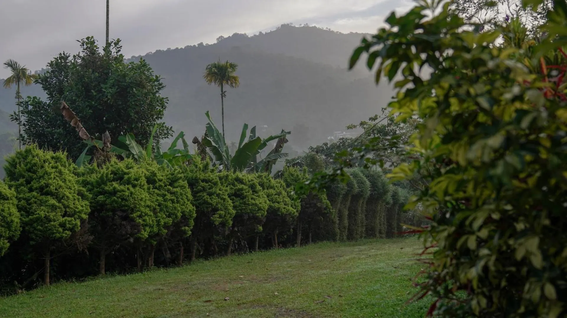 Pathaayam Farm View Home Kalpatta 4*,